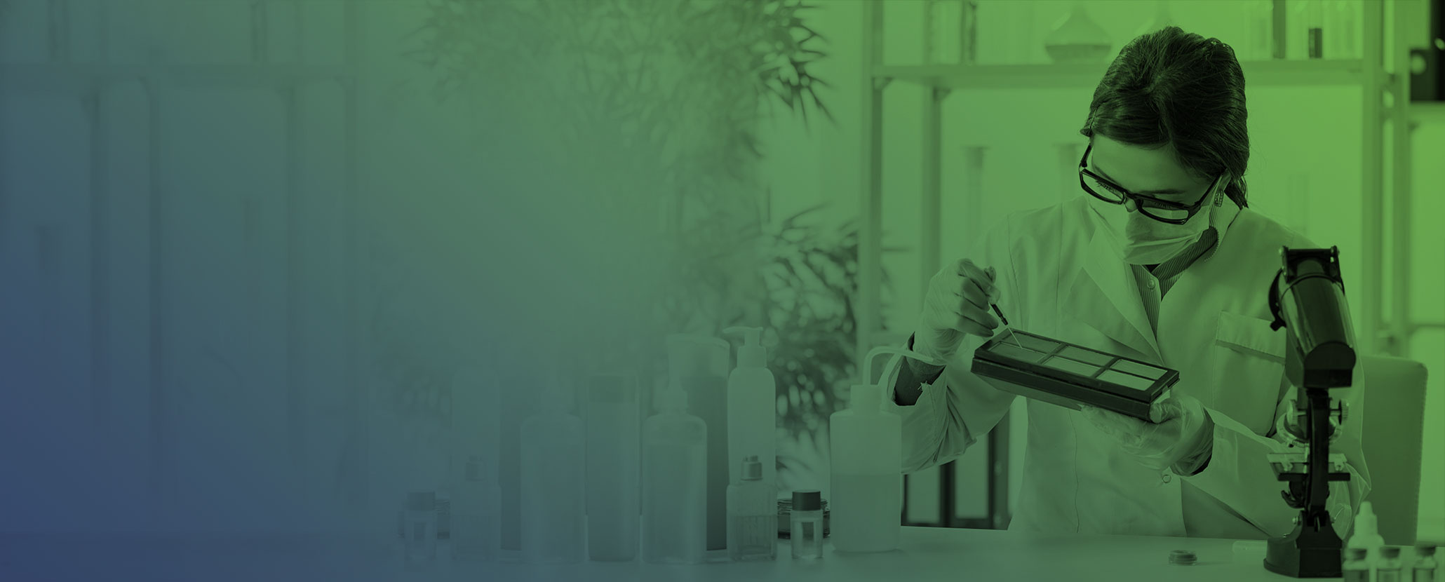 new look cosmetics product development