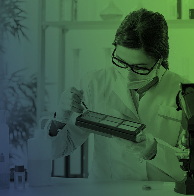 new look cosmetics product development